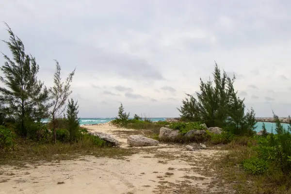 Plajdan tropikal mavi okyanus manzarası