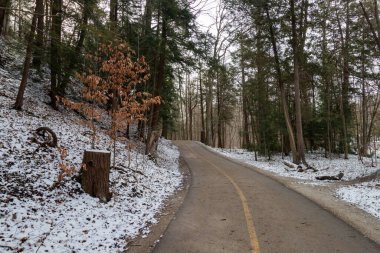 Paved trail through the forest on a snowy day clipart