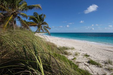Umut Kasabası 'nda, Elbow Cay' de tropikal plaj