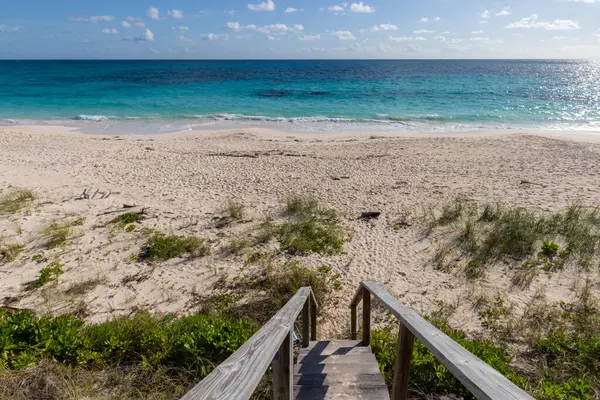 Beyaz kum ve turkuaz mavi suyu olan tropikal bir sahile tahta merdivenler.