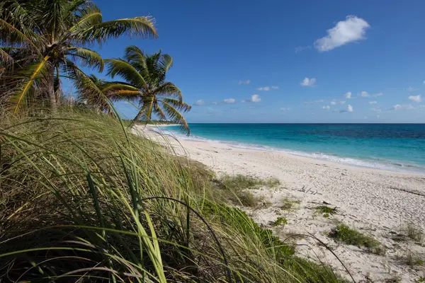 Umut Kasabası 'nda, Elbow Cay' de tropikal plaj