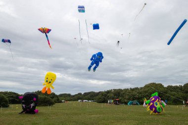 Newport, Rhode Island, ABD, 13 Temmuz 2024: Brenton Point Eyalet Parkı 'nda yıllık Newport Uçurtma Festivali