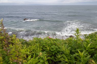 Bulutlu bir yaz gününde Newport 'un Cliff Walk' undan Atlantik Okyanusunu izle.