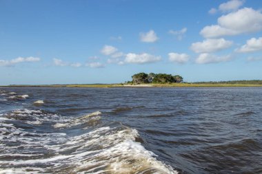 Nocatee Preserve yakınlarındaki Tolomato Nehri 'nde tekne gezisi.