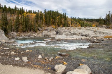 Bragg Creek, Alberta, Kanada - 6 Ekim 2024: Elbow River sonbahar renkleriyle çevrili Elbow Falls Recreation Area 'daki kaya oluşumlarının üzerinden akar.