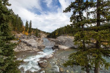 Bragg Creek, Alberta, Kanada - 6 Ekim 2024: Elbow Falls İl Bölgesi 'ndeki kayalık arazide Elbow River akıyor.