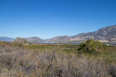 Osoyoos 'ta tarım arazileri, bir göl ve dağlar, British Columbia