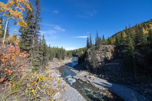 Alberta 'daki Koyun Nehri İl Parkı' nda güneşli bir sonbahar günü.