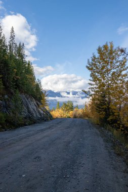 Bir sonbahar günü, İngiliz Kolombiya 'sında, Golden, British Columbia' da 7 numaralı tepeye uzanan dik çakıl yolu.