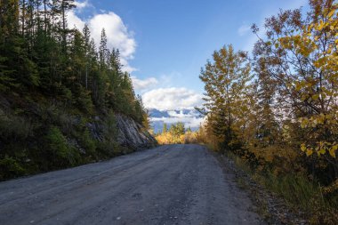 Scenic gravel road on Mount 7 in Golden, British Columbia