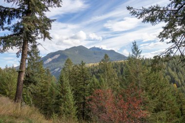 Golden, British Columbia 'da 7. Dağ Manzarası