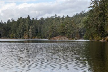 Britanya Kolumbiyası, Kanada 'daki Matheson Gölü Bölgesel Parkı' ndaki ormandaki sakin göl