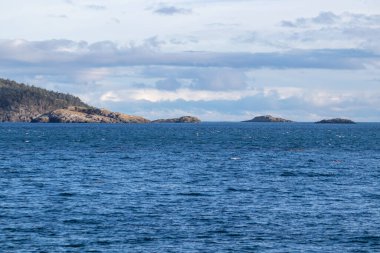 Kanada 'daki Vancouver Adası kıyısındaki Becher Körfezi' ndeki güzel mavi su manzarası