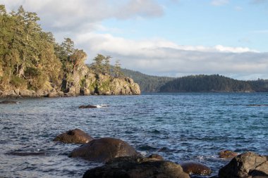 Vancouver Adası 'ndaki Doğu Sooke Bölgesel Parkı' ndaki Creyke Point 'te rüzgârlı ağaçlar.