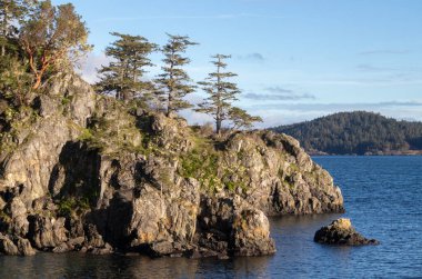 Vancouver Adası 'ndaki Creyke Point' teki engebeli arazi, ağaçlar ve mavi su manzarası