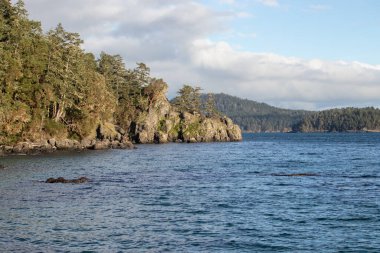 Vancouver Adası 'ndaki Creyke Point' teki East Sooke Bölge Parkı 'nın kıyısında ağaçlarla kaplı engebeli kayalık bir sahil.