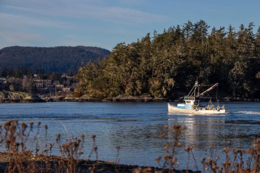 Sooke, British Columbia, Kanada - 12 Ocak 2025 Whiffin Spit limanına giren bir balıkçı teknesi.
