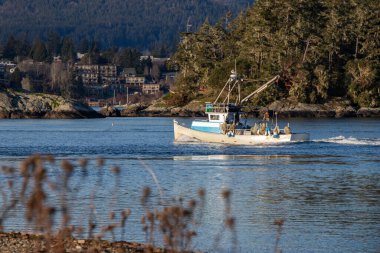 Sooke, British Columbia, Canada - January 12, 2025: A fishing boat entering the harbour at Whiffin Spit. clipart