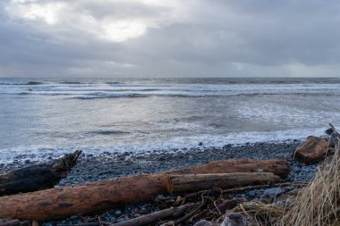 Vancouver Adası 'ndaki Pasifik Okyanusu üzerinde ufukta bulutlar görünüyor.