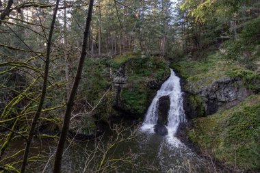Bayan Şelale Witty 'nin Göl Parkı' nda oturuyor. Vancouver Adası, BC