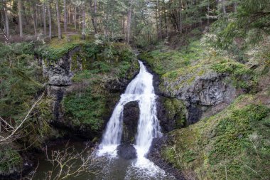 Bayan Şelale Witty 'nin Göl Parkı' nda oturuyor. Vancouver Adası, BC