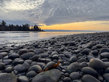 Pasifik 'in kuzeybatısındaki kayalık sahilde gün batımı.