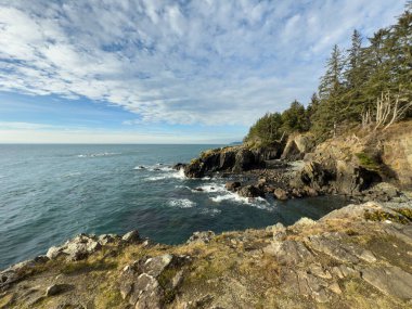 Pasifik 'in kuzeybatısındaki Vancouver Adası' nın engebeli sahil manzarası.