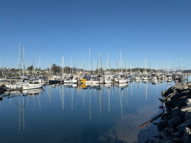 Sidney, British Columbia, Kanada - 27 Ocak 2025: Tekneler limanda sakin bir kış öğleden sonrası limana yanaştı