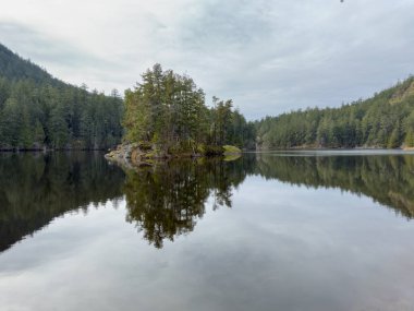 Vancouver Adası 'ndaki Matheson Gölü Bölgesel Parkı' nın sakin sularına yansıyan ağaçlar