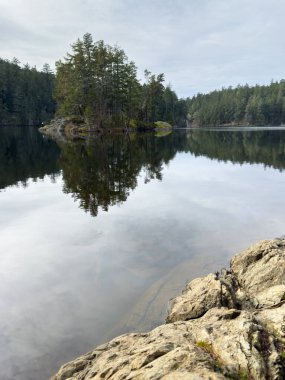 Vancouver Adası 'ndaki Matheson Gölü Bölgesel Parkı' nda ağaçlarla çevrili düz sakin su