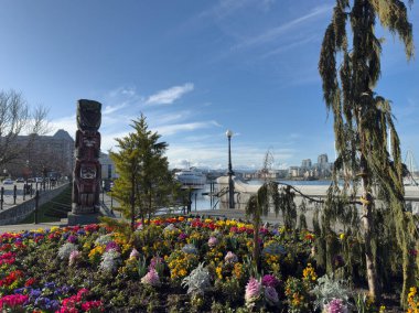 Victoria, British Columbia, Kanada - 5 Mart 2025: Sanatçı Henry Hunt 'ın Kwakiutl Ayı Kutbu