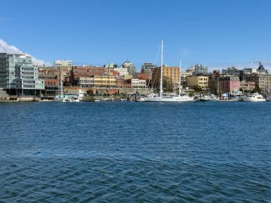 Victoria, British Columbia, Kanada - 17 Mart 2025 Victoria 'nın rıhtımı boyunca demirlemiş tekneler