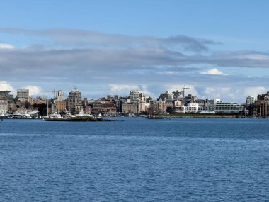 Victoria, British Columbia, Kanada - 16 Mart 2025: Sudan Victoria şehri manzarası.
