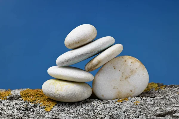 Verschillende Witte Zen Stenen Van Verschillende Vormen Gestapeld Balans Een — Stockfoto