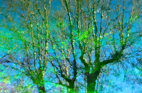 stock image Reflections of plants and trees in the water of a pond, natural watercolor