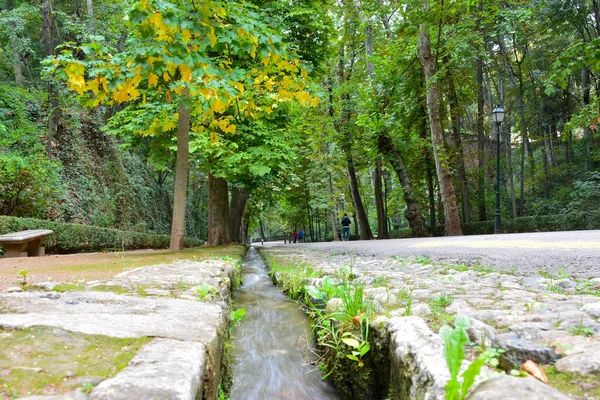 Promenade Dans Forêt Alhambra Grenade Espagne — Photo