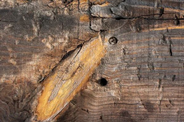 異なる静脈を持つテクスチャ 古い木製の板 — ストック写真