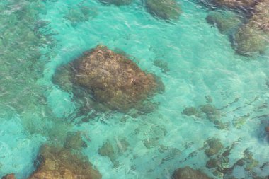 Denizin dibi şeffaf ve sığ sularda görülür.