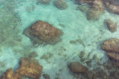 Denizin dibi şeffaf ve sığ sularda görülür.