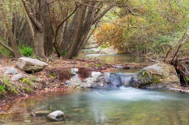 Sonbaharın başlarında bitki ve ağaçlarla birlikte Genil Nehri 'nin doğal manzarası.