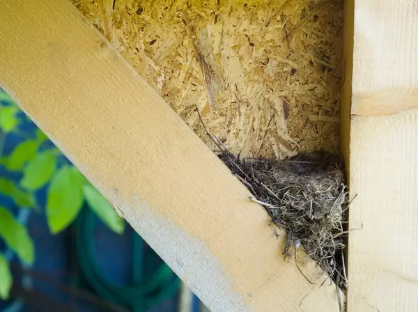 Dal dalları ve doğal kalıntılardan oluşan küçük bir kuş yuvası, güvenli bir şekilde ahşap kiriş yapısına yerleştirilmiş, korunaklı bir yerde kuşlar için potansiyel bir yuva öneriyor..