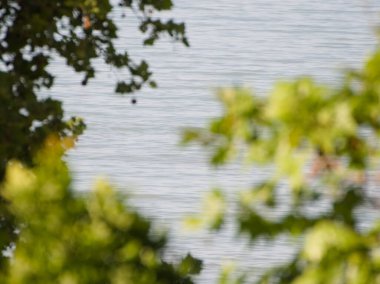 Balaton Gölü 'nün dalgalanan yüzeyinin sakin, sanatsal bir görüntüsü. Yumuşak yeşil, odaktan uzak yaprak ve dallar ön planda sakin ve soyut bir manzara yaratıyor..