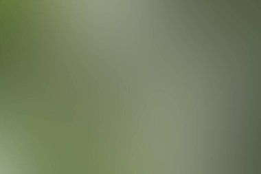 Projeniz için renkli Soyut Düz arkaplan tasarımı - Web sitesi tasarımı için yumuşak düz arkaplan