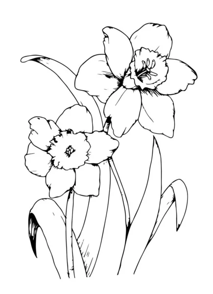 Krásný Květinový Design Koncepce Černé Barevné Digitální Kresba Izolované Bílém — Stockový vektor