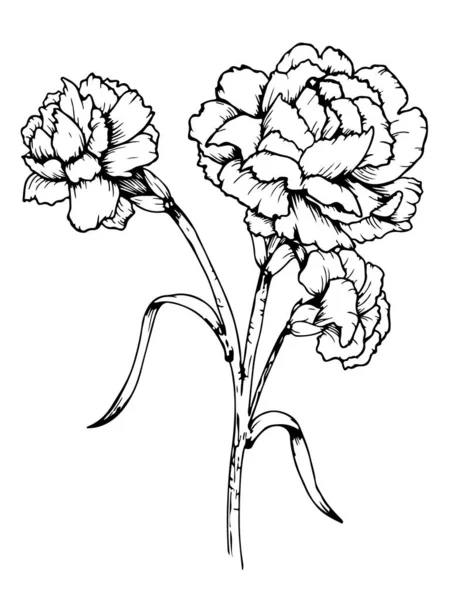 白い背景に隔離された黒い着色されたデジタルデッサンの美しい花のデザインコンセプト ベクターのイラスト — ストックベクタ