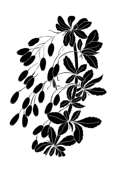 Abstracte Zwarte Witte Bessen Vruchten Met Bladeren Geïsoleerd Witte Achtergrond — Stockvector