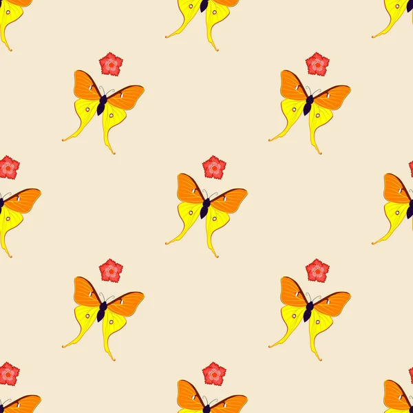 Mariposa Amarilla Naranja Volando Con Flor Aislada Sobre Fondo Claro — Vector de stock