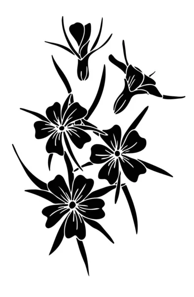 Sztuka Cyfrowa Czarnej Rośliny Abelia Izolowane Białym Tle Ilustracja Wektor — Wektor stockowy
