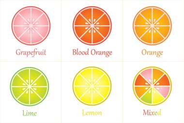 Beyaz arkaplanda izole edilmiş yarı dilimlenmiş Citrus meyveleri seti - vektör illüstrasyonu
