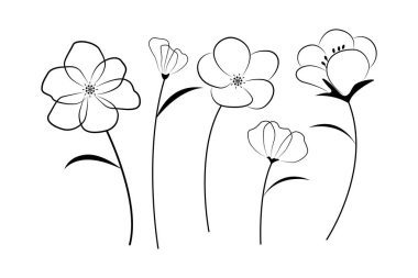 Beyaz arkaplanda izole edilmiş güzel çiçek çizgisi dizisi - vektör illüstrasyonu